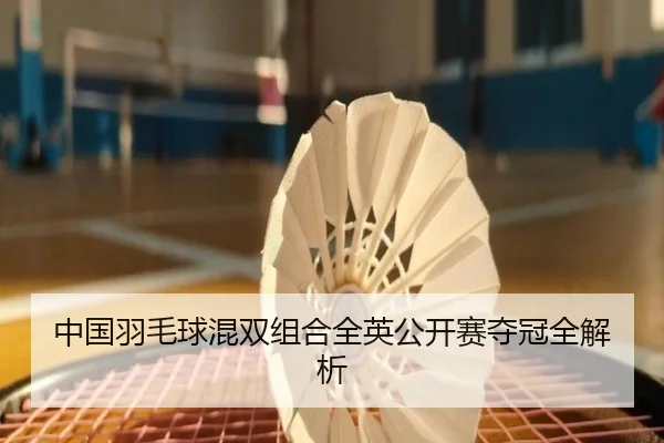 中国羽毛球混双组合全英公开赛夺冠全解析（QIYIGUO）